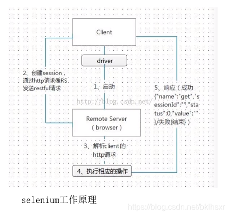 selenium工作原理