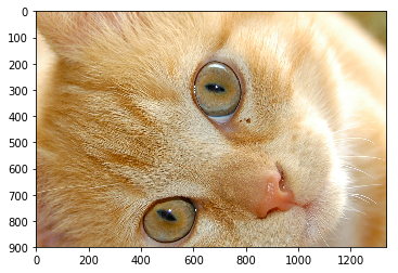 img_c7fba3f82415482011e3b8f68f620de3.png