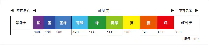 [ ä¸å¯è§å : ç´«å¤å][ å¯è§åä¸ : ç´« 380 / è 430 / èç»¿ 480 / éç»¿ 490 / ç»¿ 500 / é»ç»¿ 560 / é» 580 / æ© 595 / çº¢ 650 ][ ä¸å¯è§å : çº¢å¤å 780 ]ï¼åä½ï¼nmï¼
