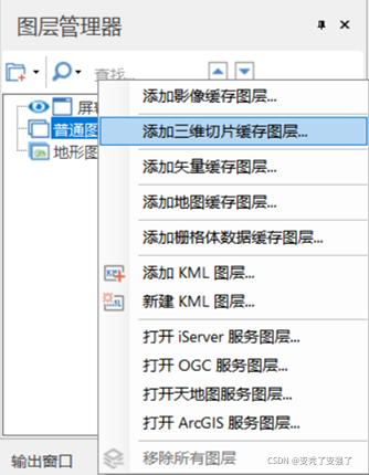 图 6：向场景添加三维切片缓存