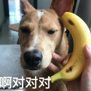 image-20231010094755827