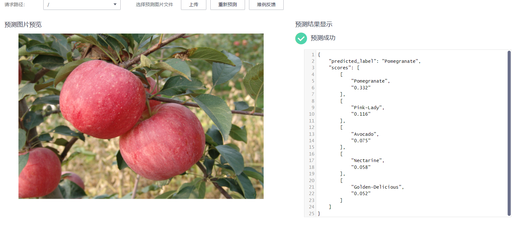 image-20220121141334256