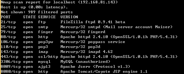 渗透技巧：Windows平台运行Masscan和Nmap