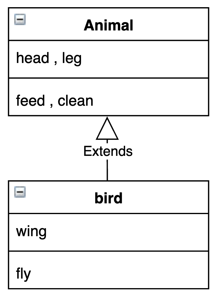 bird继承了animal