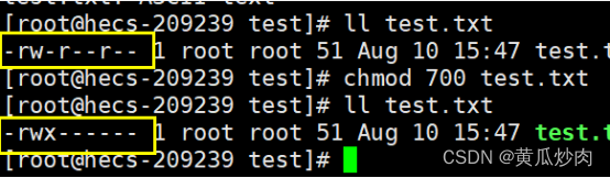 Linux文件权限管理-CSDN博客