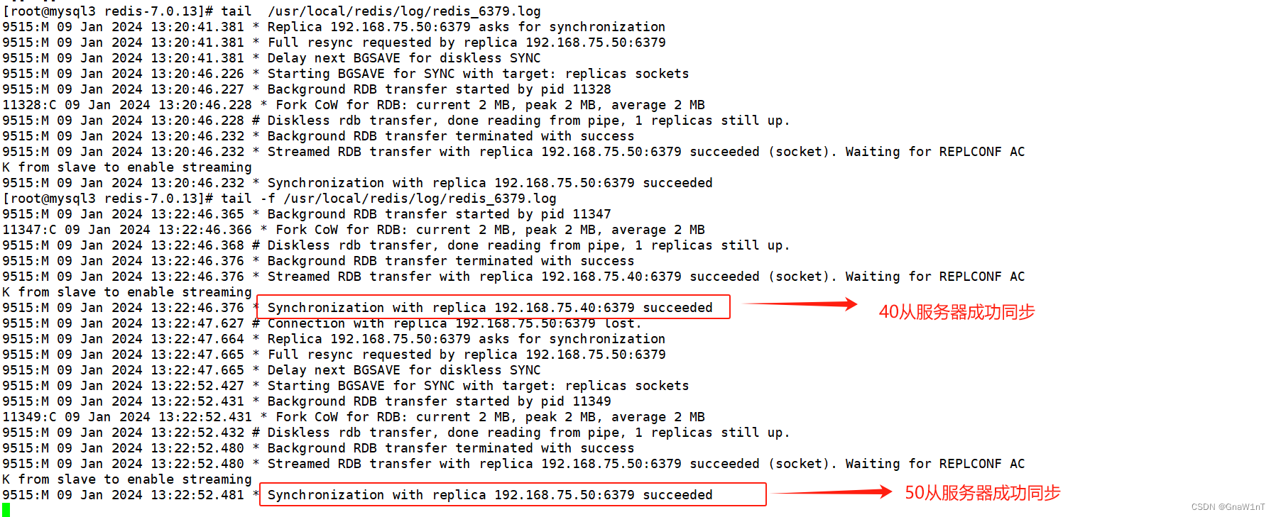Redis高可用（主从复制、哨兵模式和Cluster集群）_reids-cluster+哨兵模式-CSDN博客