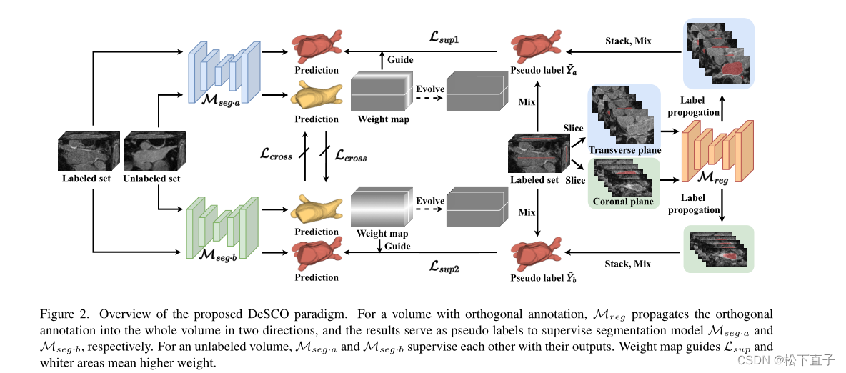 Orthogonal Annotation Benefits Barely-supervised Medical Image ...