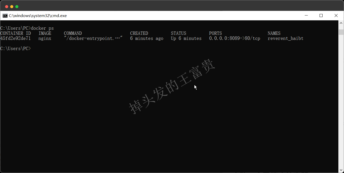 image-20240815195840619