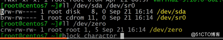 第二周--linux目录结构及其命名规定，ls命令的使用技巧