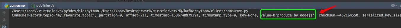 python consumer