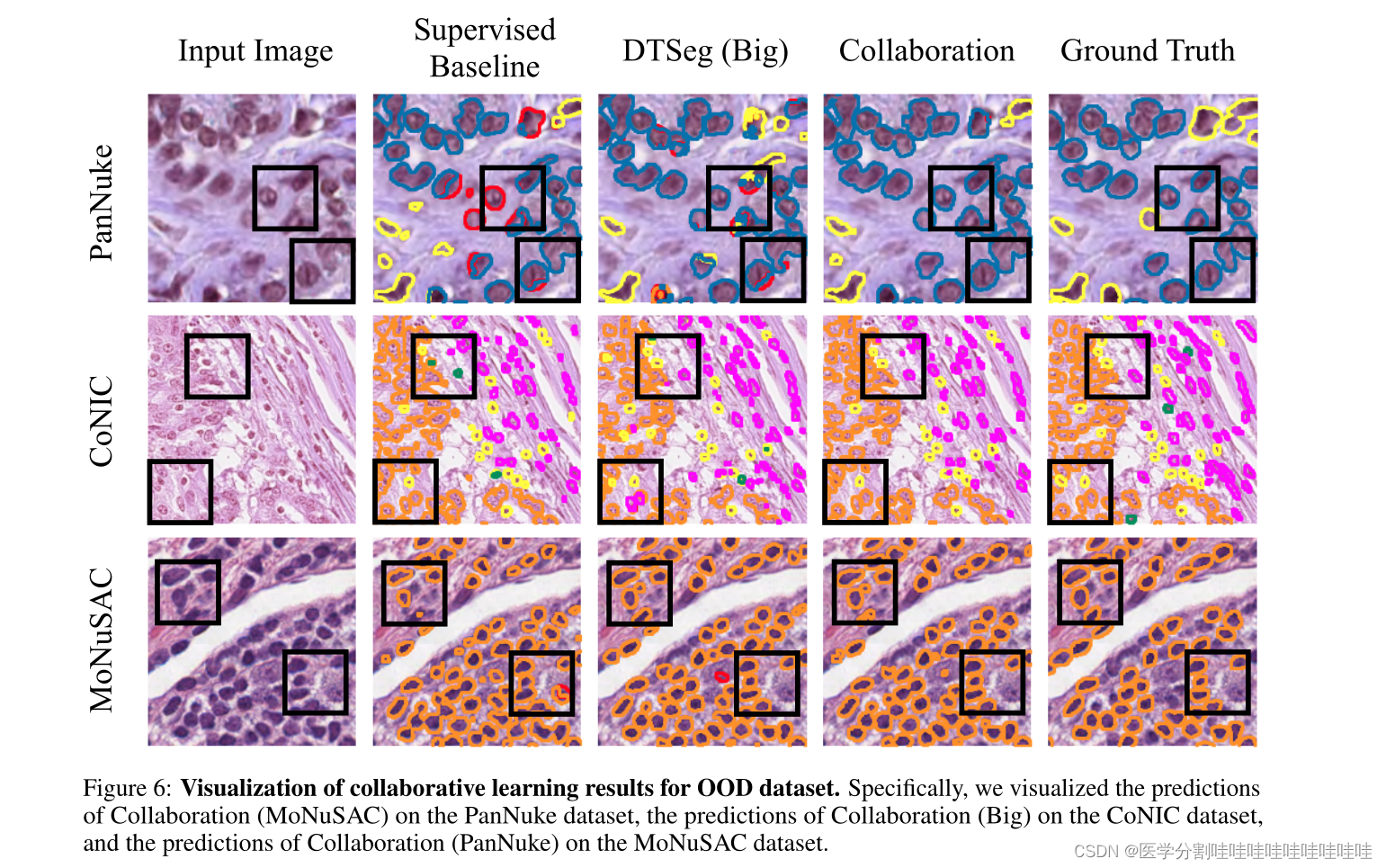 SEMI-SUPERVISED SEMANTIC SEGMENTATION OF CELL NUCLEIVIA DIFFUSION-BASED ...