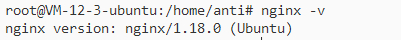 nginx