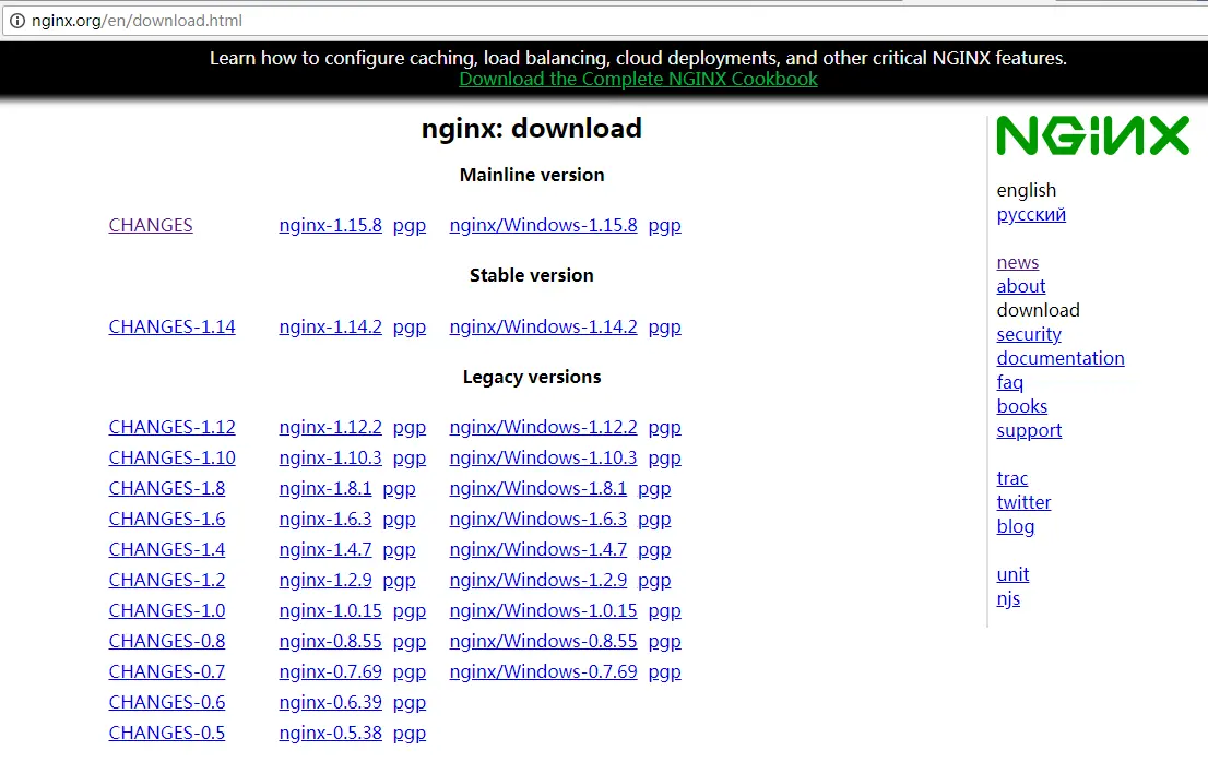 NgInx 官网