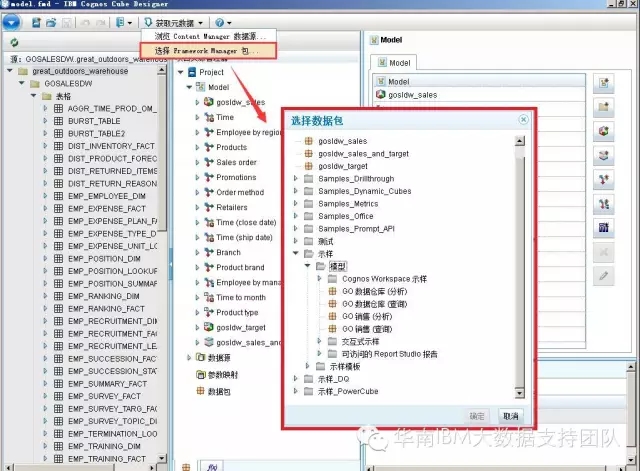 cognos
