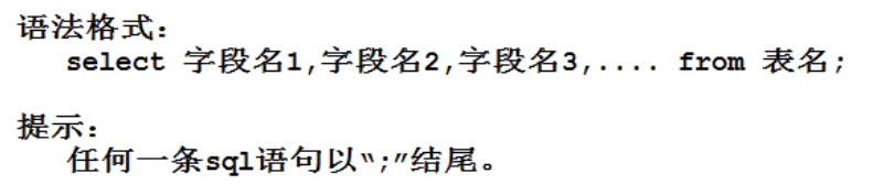 image-20220207101531294