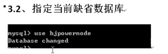 image-20220207100824783