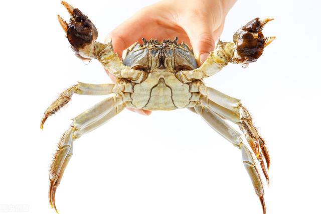 f9ade690c4e0be7d87e50654d94729e0.png