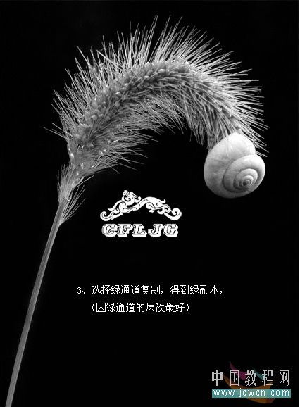 Photoshop通道结合图层模式抠狗尾巴草 