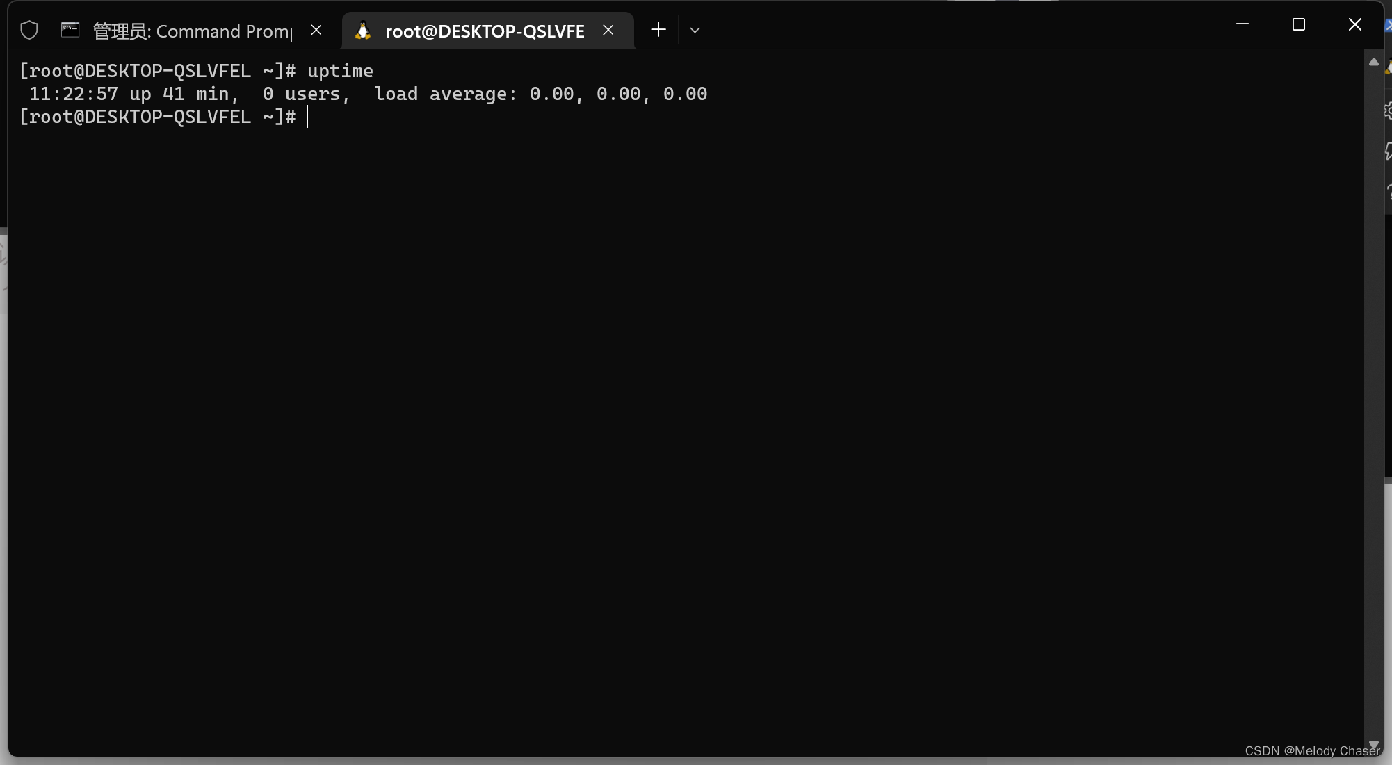 可以正常操作Linux子系统的命令行