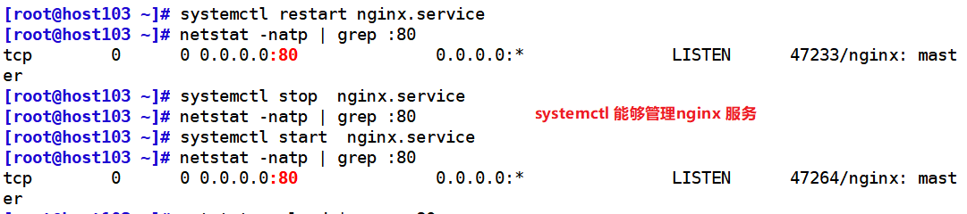 image-20210812213014512