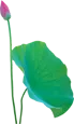 0.png?tp=webp&wxfrom=5&wx_lazy=1