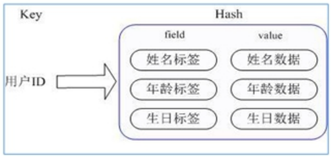 image-20220923161705811