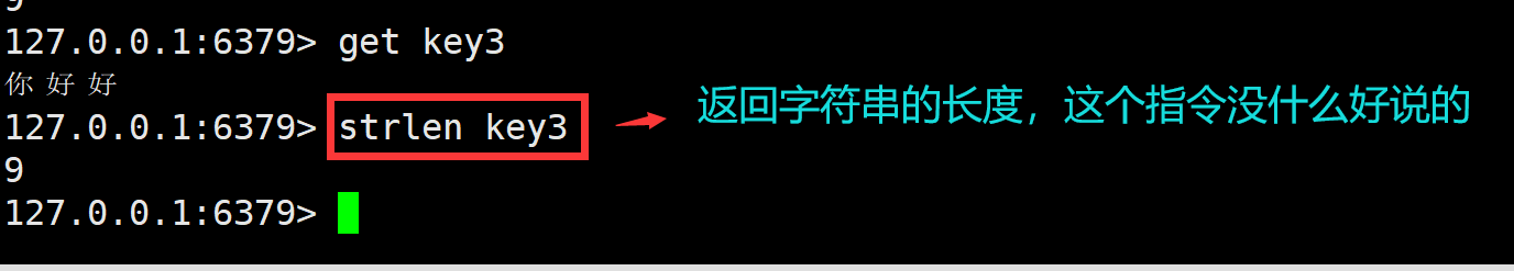 image-20240702144307048