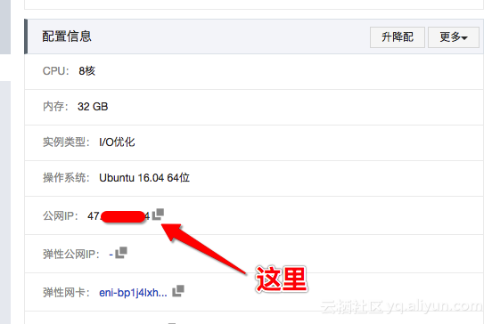 公网IP