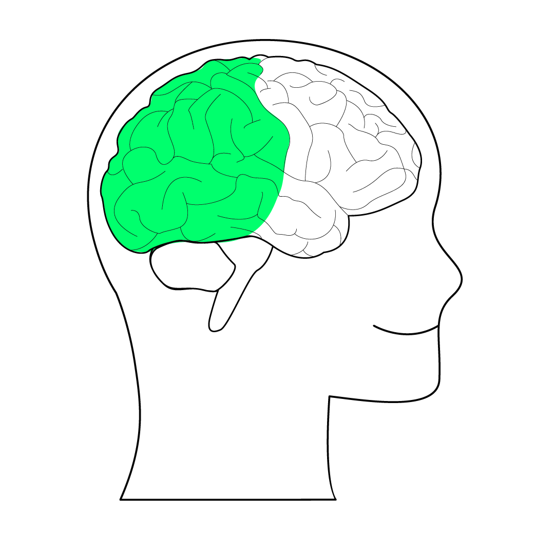 505f277da4c7e9b17385de5820435d8d.png