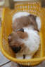 B8CCEC4DC743A98B!2457:thumbnail