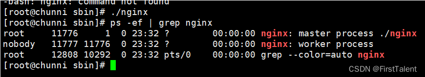 启动nginx