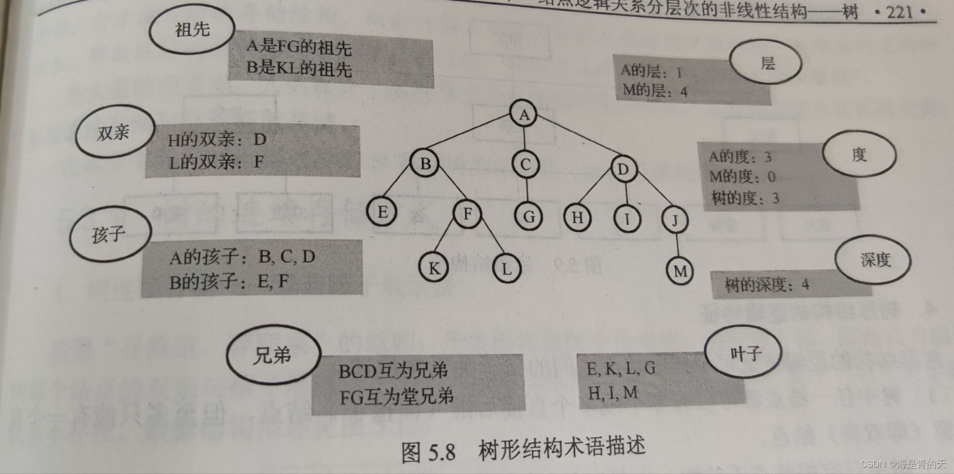 深入理解树结构在IT中的应用:二叉搜索树操作详解-CSDN博客