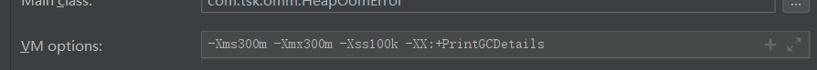 设置他们的堆大小 -Xms300m -Xms300m