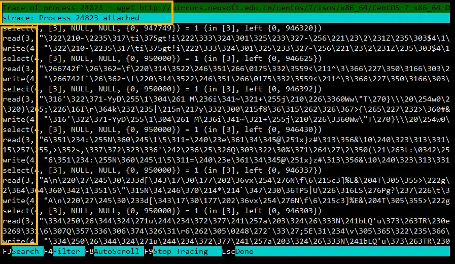 htop 进程跟踪功能