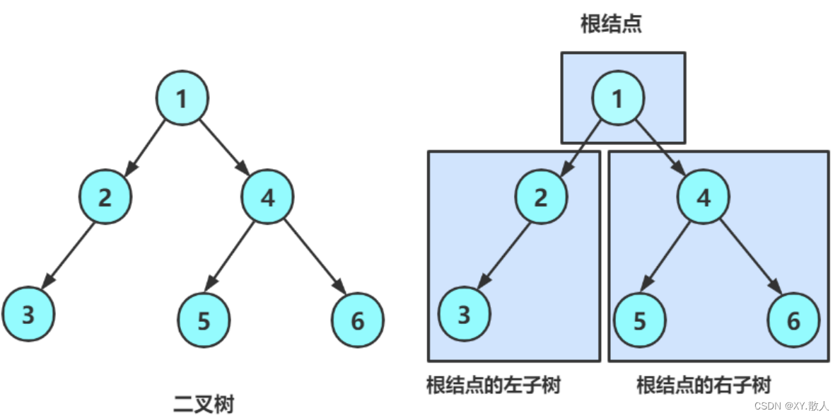 数据结构·二叉树(1)
