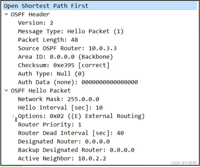 网工—OSPF协议全面学习笔记_ospf笔记-CSDN博客