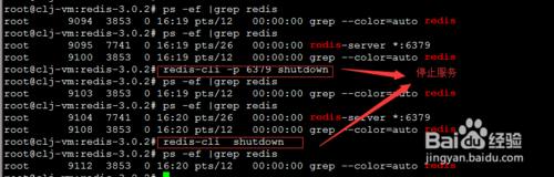 Ubuntu下如何安装与运行Redis