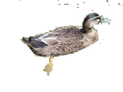976328-20170723083354590-1990052035.jpg