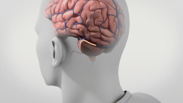 d0fec1bdf322d06d1017c2400b98788f.gif