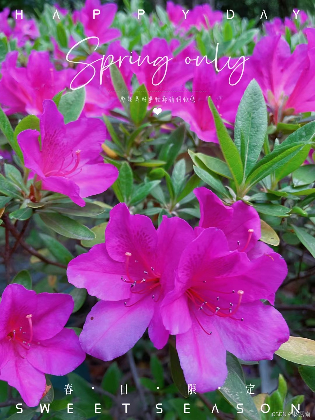 watermark,type_d3F5LXplbmhlaQ,shadow_50,text_Q1NETiBA5p6X6ZyH5Y2X,size_20,color_FFFFFF,t_70,g_se,x_16