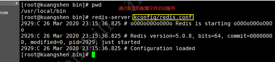 image-20211014202922239