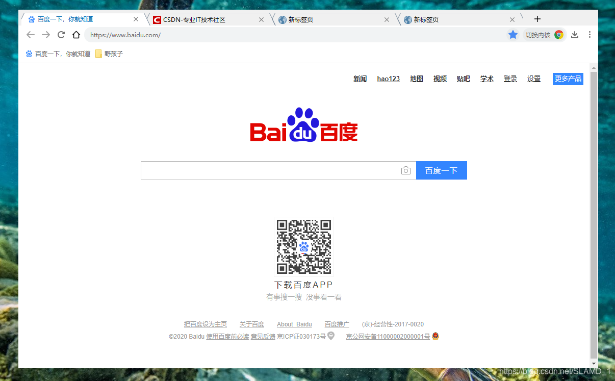 老版本Chrome标签样式