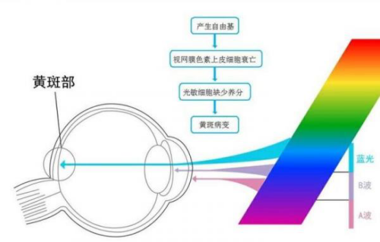 5426dc9f94fd97c913b9805b2f2e1cf7.png