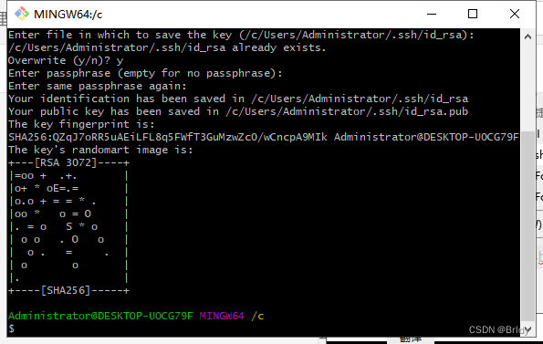 在这里插入图片描述