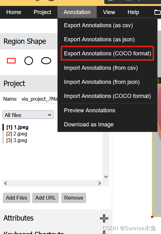 Coco Data Label Format 数据收集和处理_labelme 负样本-CSDN博客