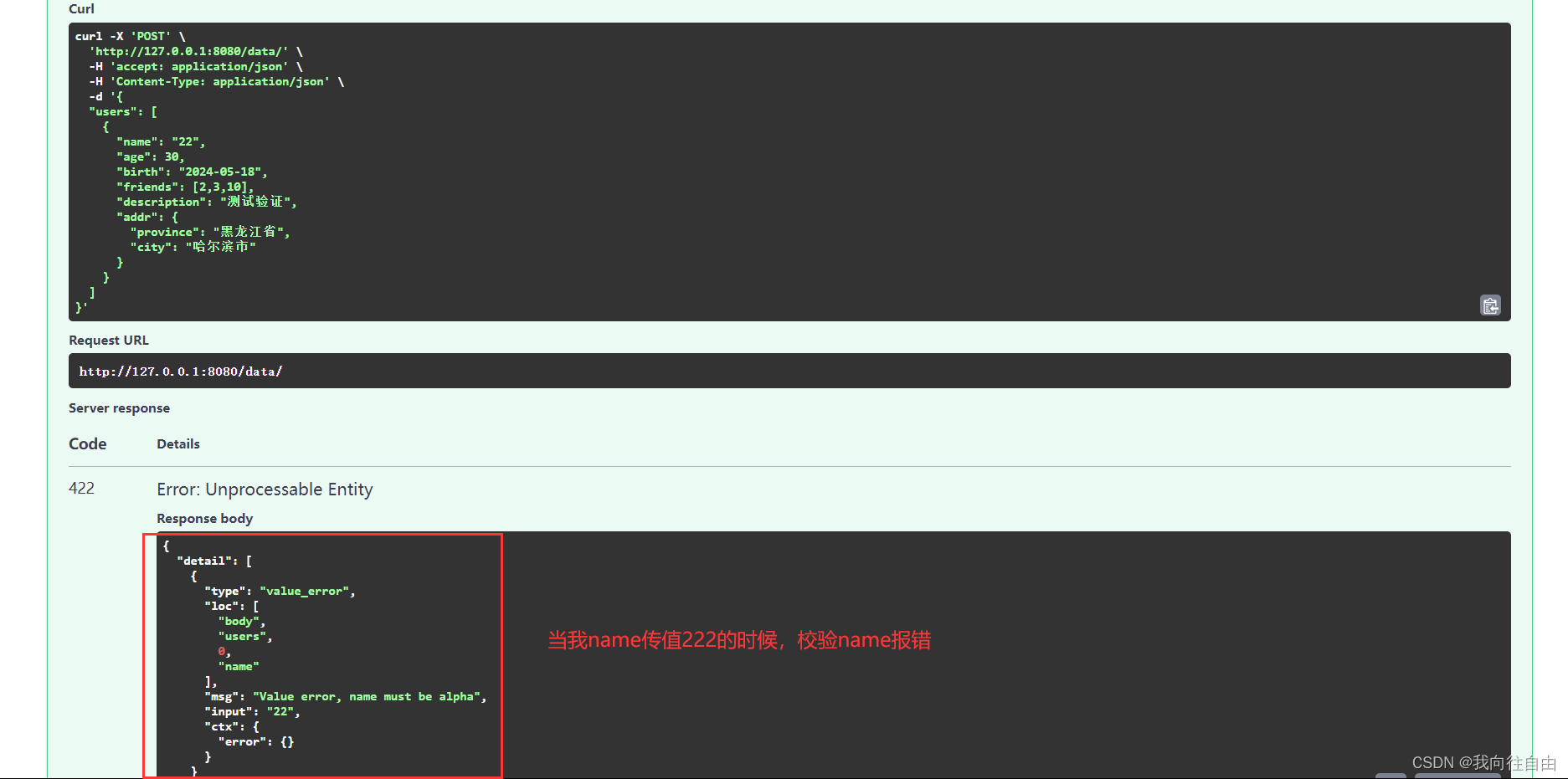 【最快入门】一篇文章学会Python最快框架fastapi_python fastapi教程-CSDN博客