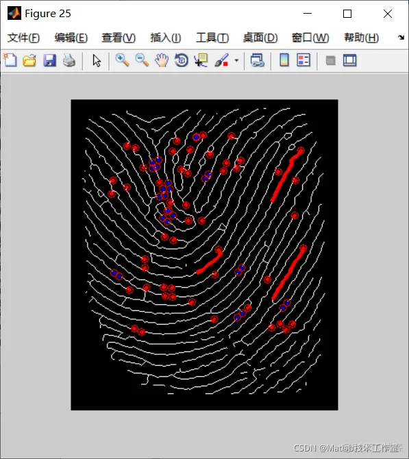 【图像识别】基于形态学实现指纹特征提取matlab源码_matlab_16