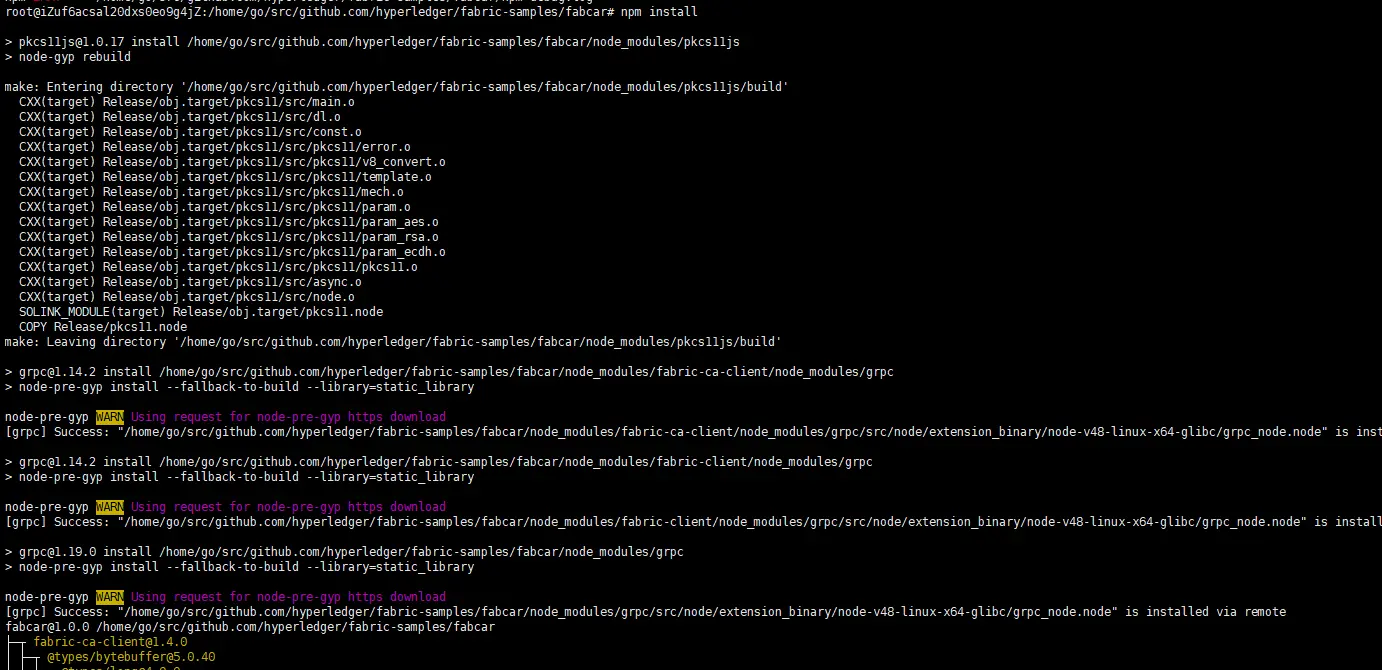 npm install 中1
