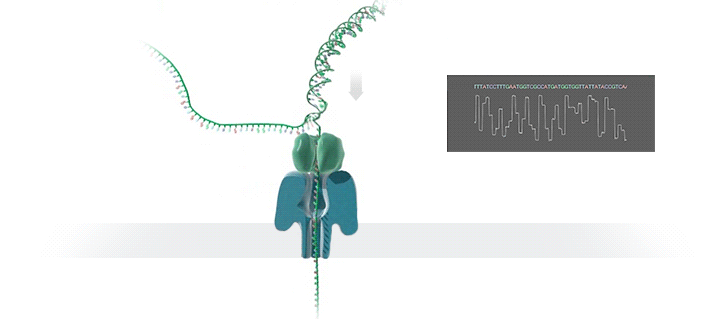cd62d10783ec12d3dc83020c09d27909.gif